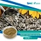 SNC | Good Fortune is a professional Organic Sunflower Seed Protein supplier in China supplies all kinds of healthy ingredient.